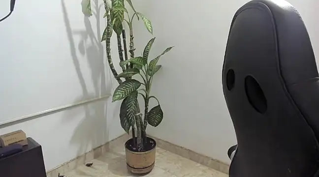 madelaine blosson online show from 03/01/25, 02:04