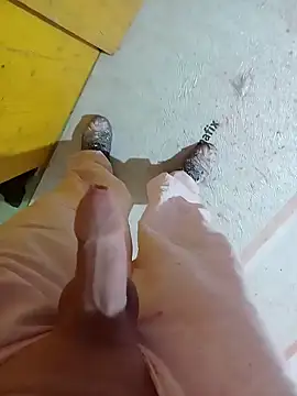 GeilerSchweizer online show from 01/29/25, 03:37