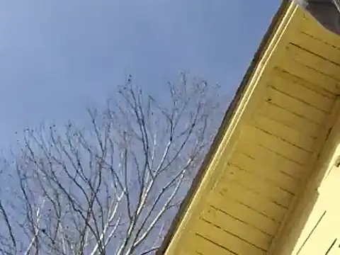 highstepper500 online show from 12/25/24, 11:10