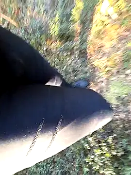 Papiercedbisex online show from 04/10/26, 06:09