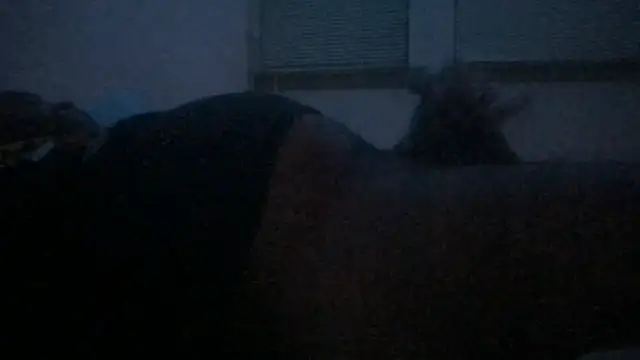 Freaky dickey online show from 12/22/25, 03:01