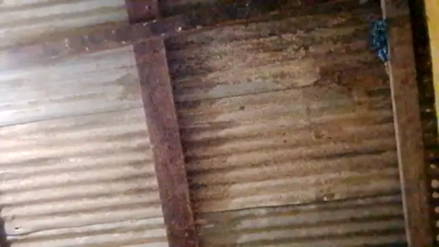 Snapshot of LULE37587001 chatting on 02/20/26, 11:06 LULE37587001 online show from 02/20/26, 11:06