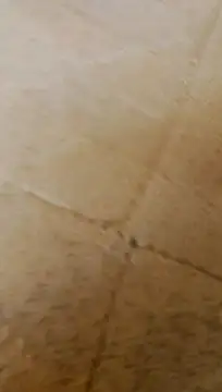 Snapshot of LULE37587001 chatting on 02/20/26, 06:26 LULE37587001 online show from 02/20/26, 06:26