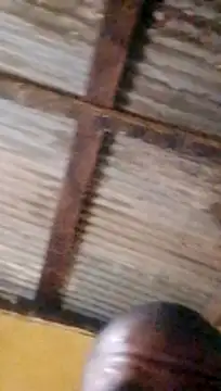 LULE37587001 online show from 03/18/26, 10:32