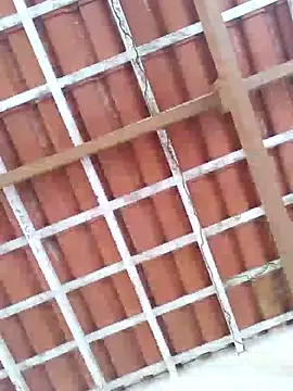 Peludo173317 online show from 03/11/25, 05:02