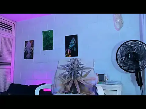 drippyorlovee online show from 02/11/26, 07:58