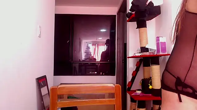 karinasodi 1 online show from 12/03/25, 08:08