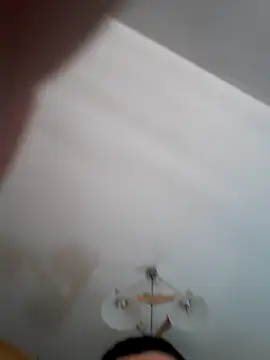 Pitbul889 online show from 11/01/25, 06:46