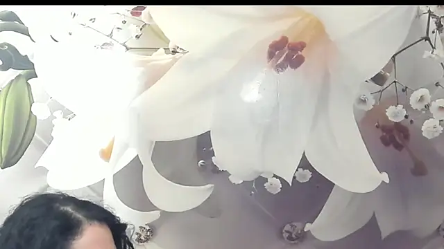 SweetArtemis online show from 02/23/25, 11:04