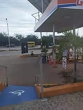 sagrado 1989 online show from 01/12/26, 10:03