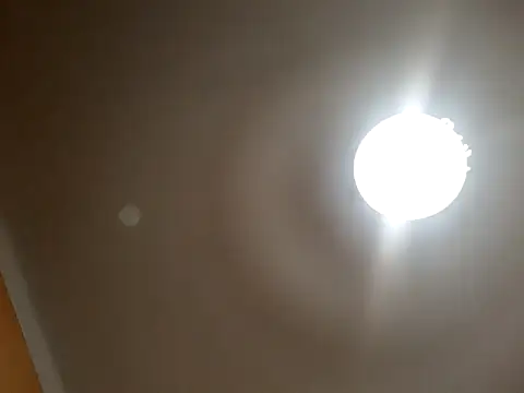 White rabbit  online show from 09/10/25, 08:52