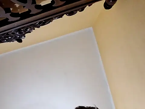 White rabbit  online show from 10/29/25, 09:58