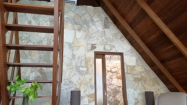 Cryptikov online show from 04/05/26, 08:21