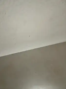 Ortegakim online show from 11/16/25, 05:28