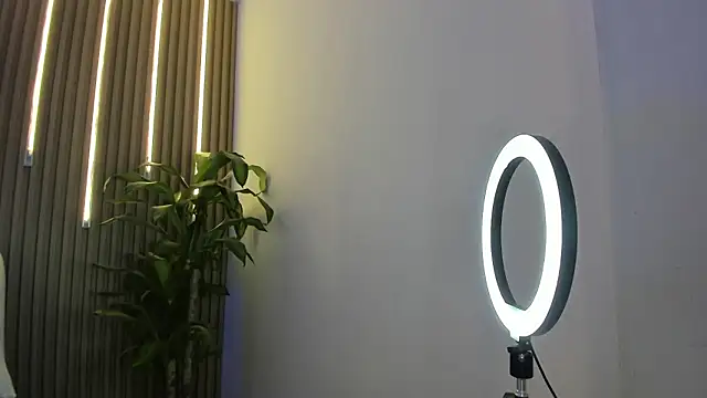 Snapshot of perla7777 chatting on 02/03/26, 02:00 perla7777 online show from 02/03/26, 02:00