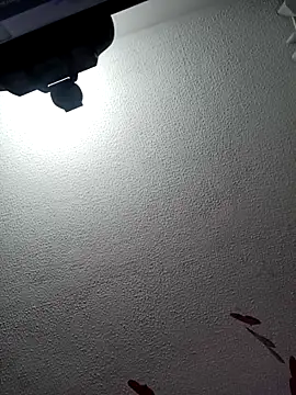 Deina bunny online show from 02/17/25, 10:05