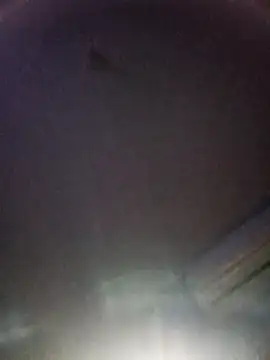 sore-mexico-chiapas online show from 03/10/26, 12:09