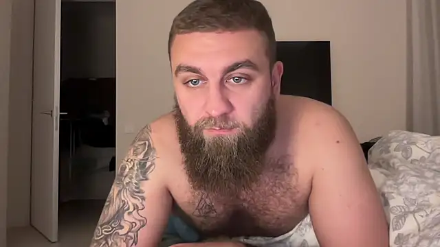 Bear bear  online show from 11/18/25, 07:50