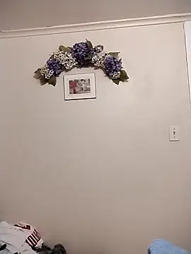 ShaneJames11 online show from 02/01/26, 05:33