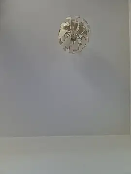 cuci45 online show from 11/01/25, 10:31