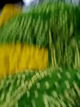 wrong man25 online show from 02/24/25, 09:09