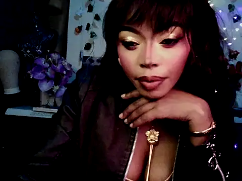 Anaconda2350 online show from 04/04/26, 12:17