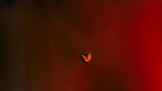 Snapshot of Youlittlepervertt_ chatting on 03/01/26, 11:49 Youlittlepervertt online show from 03/01/26, 11:49