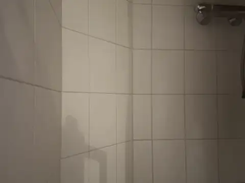 dennisnl93 online show from 02/16/26, 04:16