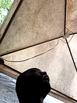 HARLEXBIGCOCK online show from 12/10/24, 06:38