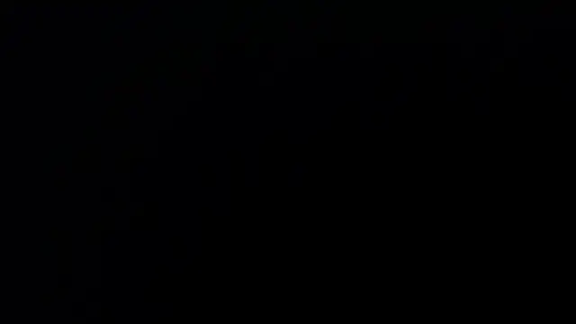 patty bersh online show from 10/27/25, 11:49