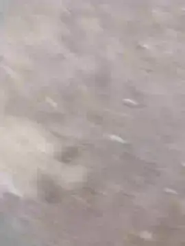 dheck2020 online show from 01/07/25, 11:45