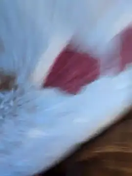 DauerGeilDaddy online show from 03/06/25, 08:30