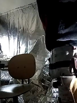 rexflexxx online show from 11/09/25, 11:47