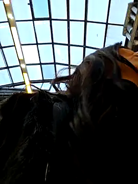 LeticiaWoods online show from 11/27/25, 10:48