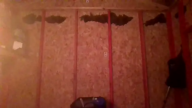 prettyboytatted69 online show from 04/09/26, 07:03