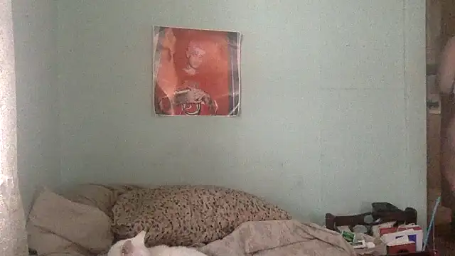 alexabunni online show from 11/17/25, 04:00