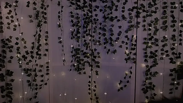 Snapshot of risha_laas chatting on 09/26/25, 08:16 risha laas online show from 09/26/25, 08:16