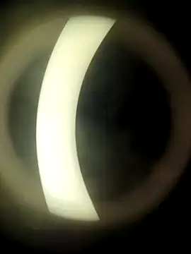 Snapshot of HotWifeNisha chatting on 12/21/24, 08:54 HotWifeNisha online show from 12/21/24, 08:54