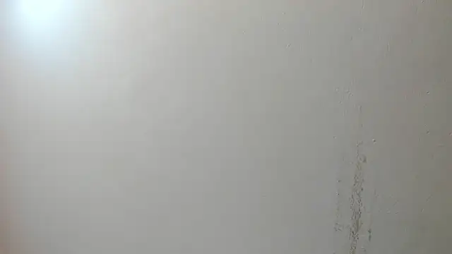 sarita loven online show from 07/17/26, 05:04