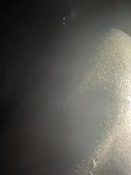 Snapshot of kleinerAlex chatting on 03/21/25, 05:00 kleinerAlex online show from 03/21/25, 05:00