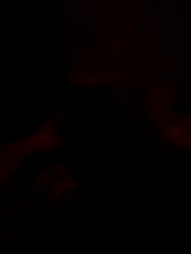 Tomtric online show from 02/10/26, 08:24