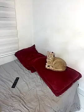 Liamiler01  online show from 10/10/25, 12:33