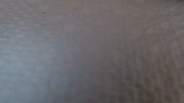 TsSandyx online show from 04/30/26, 10:22