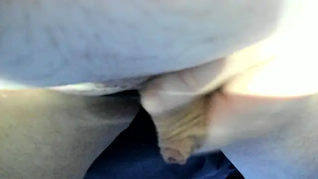 Snapshot of Big_Andiy chatting on 09/12/25, 02:34 Big Andiy online show from 09/12/25, 02:34