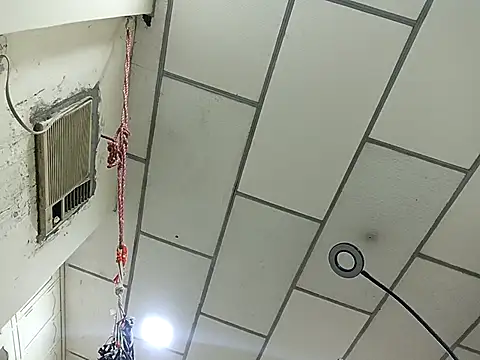 DanelyLopez online show from 02/02/26, 02:43