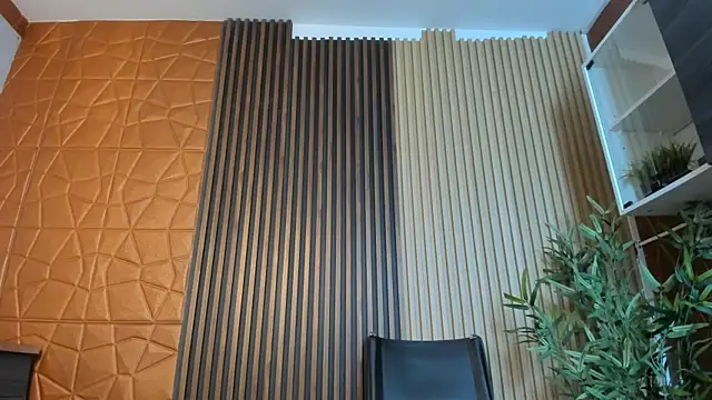 Snapshot of charlottewhitte chatting on 03/20/25, 11:05 charlottewhitte online show from 03/20/25, 11:05