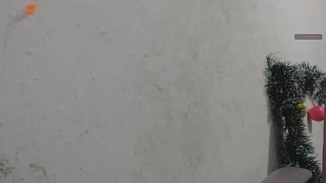 toxxxic cams online show from 01/07/26, 05:01