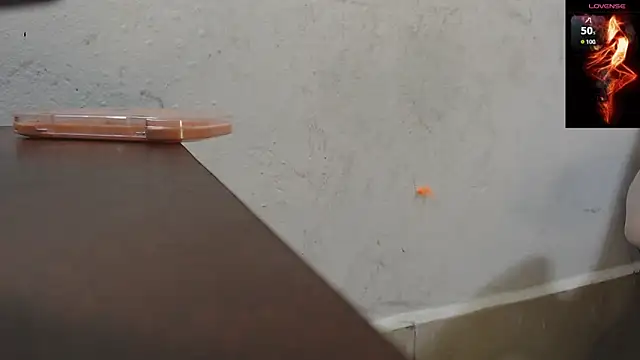 toxxxic cams online show from 11/22/25, 04:33