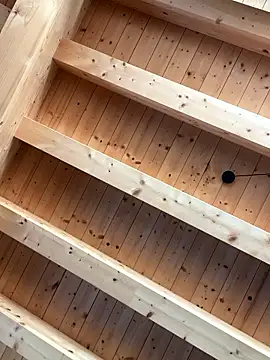 Fellix online show from 01/07/26, 11:15