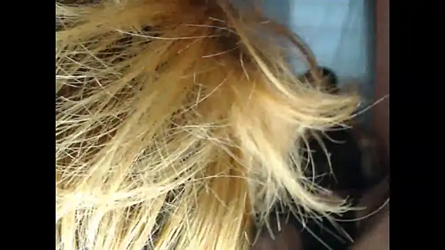 lover 1994 online show from 03/27/26, 12:06